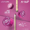 WEB-PINK-CACTUS-H-TIP_02.webp